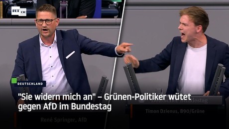 "Sie widern mich an" – Grünen-Politiker wütet gegen AfD im Bundestag
