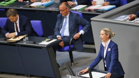 Sonntagsfrage: AfD erneut mit wachsendem Vorsprung vor Union und SPD – FDP über fünf Prozent?