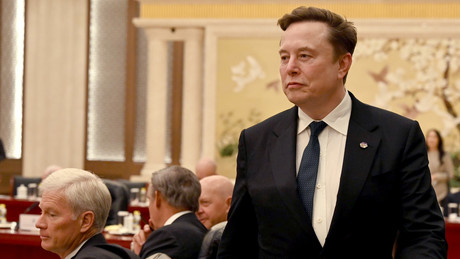 Musk: Regierung sollte Bürger direkt aus dem Staatshaushalt bezahlen