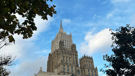 Duma-Wahl: Moskau meldet Schwierigkeiten bei Vorbereitungen im Ausland