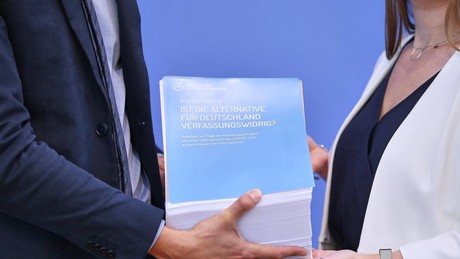 Gutachten zu AfD-Verbot: "Nachweislich verfassungsfeindlich"