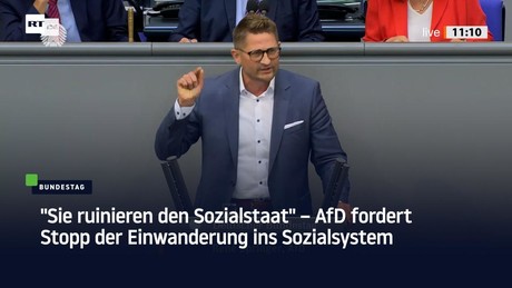 "Sie ruinieren den Sozialstaat" – AfD fordert Stopp der Einwanderung ins Sozialsystem