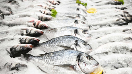 Russland stoppt Einfuhr sämtlicher Fischprodukte aus Armenien