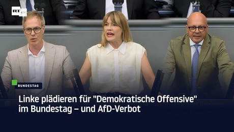 Linke plädieren für "Demokratische Offensive" im Bundestag – und AfD-Verbot