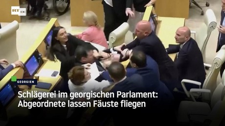 Schlägerei im georgischen Parlament: Abgeordnete lassen Fäuste fliegen