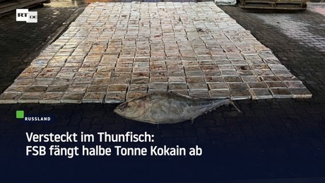 Versteckt im Thunfisch: FSB fängt halbe Tonne Kokain ab