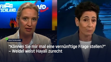 "Können Sie mir mal eine vernünftige Frage stellen?" – Weidel weist Hayali zurecht