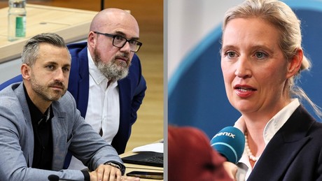 Kulturkampf wegen Familienbild? Weidel kritisiert AfD-Landesverband in Sachsen-Anhalt