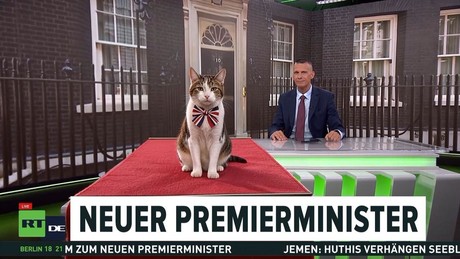 Der Premier geht, der Kater bleibt: Nummer sieben zieht ein