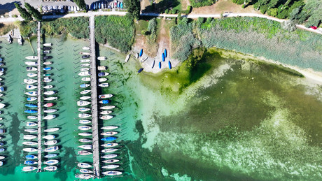 Noch nie so wenig Wasser im Juli: Bodensee bricht Rekord von 1976
