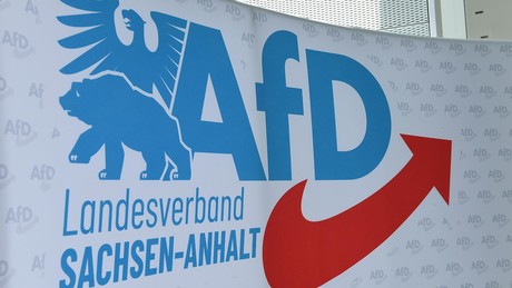 Landtagswahlen: Fast die Hälfte der Ostdeutschen offen für Regierungen mit der AfD