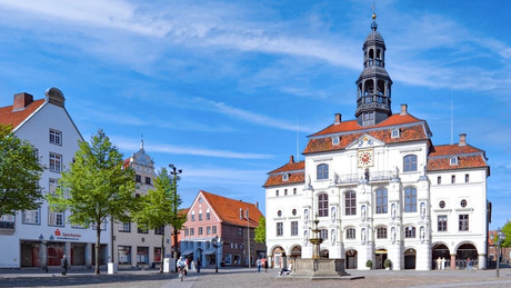Niedersachsen: Noch mehr AfD-Kandidaten von Wahlen ausgeschlossen