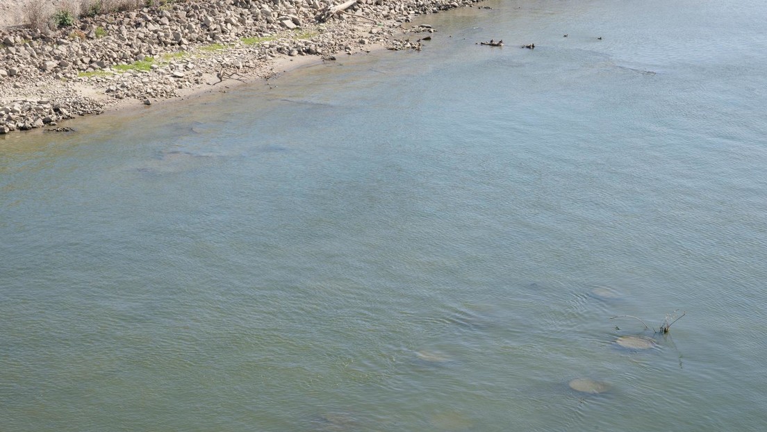 Niedriger Wasserstand in der Donau: Versunkene Weltkriegsschiffe kommen zum Vorschein