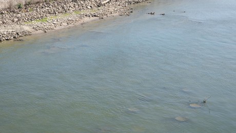 Niedriger Wasserstand in der Donau: Versunkene Weltkriegsschiffe kommen zum Vorschein