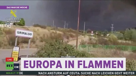 Europa unter Feuer: Waldbrände richten massive Schäden an