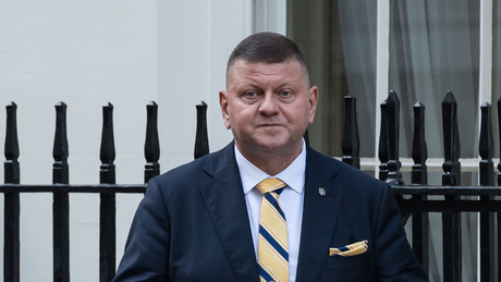 Ex-Armeechef Saluschny: Ukraine wird niemals Mitglied der NATO werden
