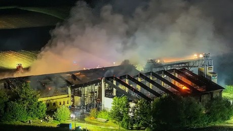 Bayern: 1.600 Schweine sterben bei Großbrand