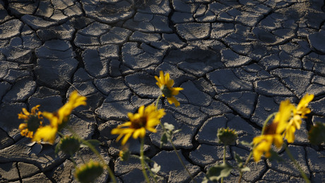 Die Menschheit wird nicht um Öl, sondern um Wasser Krieg führen