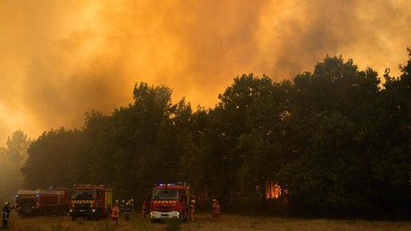 Frankreich: 420 Festnahmen im Zusammenhang mit Waldbränden