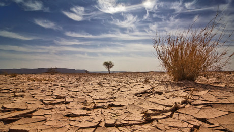 Südliches Afrika: Schwerer El Niño könnte humanitäre Lage verschärfen