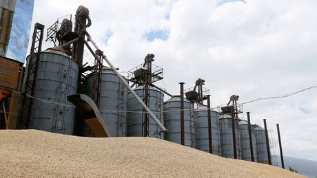 Seeblockade verschärft Krise: Ukraine droht Einbruch des Getreideexports