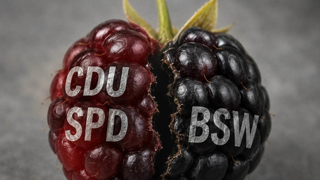Thüringer Plagiatsskandal: BSW-Spitze fordert Rücktritt von Ministerpräsident Voigt