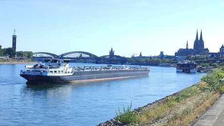 Dürrekatastrophen gestern und heute: Im Jahr 1540 Rheinüberquerung zu Fuß