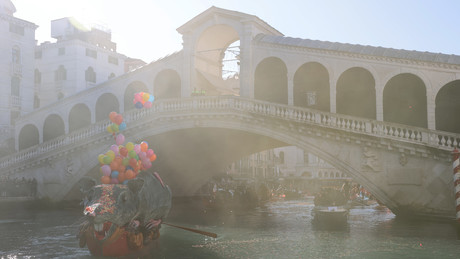 Venedig: Delfin vor der Rialto-Brücke gesichtet