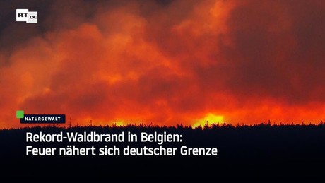 Rekord-Waldbrand in Belgien: Feuer nähert sich deutscher Grenze