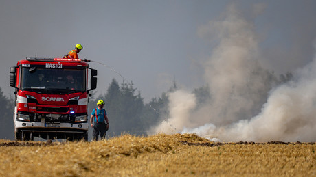 Schlechteste Ernte seit 15 Jahren: Dürre kostet Tschechiens Landwirte 960 Millionen US-Dollar