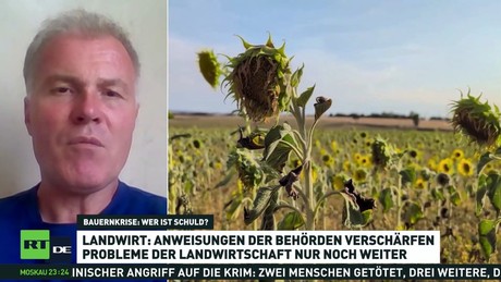 Bauernkrise: Wer ist schuld?