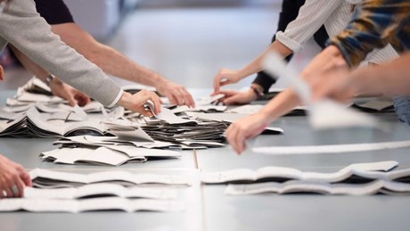 Landtagswahl in Sachsen-Anhalt erfährt "organisierte Beobachtung" durch Grünen-NGO