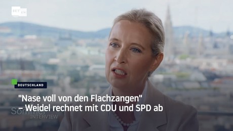 "Nase voll von den Flachzangen" – Weidel rechnet mit CDU und SPD ab