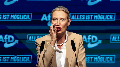 Weidel in Wien: AfD holt sich bei ihrer Schwesterpartei FPÖ "Rezepte fürs Regieren"