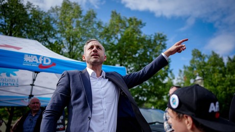 Von "chinesischer Mauer" bis "Nuklearoption": Politico sucht nach Umgangsszenarien mit AfD