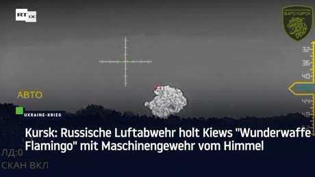 Kursk: Russische Luftabwehr holt Kiews "Wunderwaffe Flamingo" mit Maschinengewehr vom Himmel