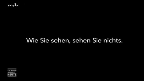 MDR sieht schwarz – ÖRR-Sender fürchtet "AfD-Macht" in Sachsen-Anhalt
