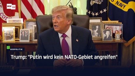 Trump: "Putin wird kein NATO-Gebiet angreifen"