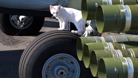 Liveticker Ukraine-Krieg: Russland greift weitere ukrainische Logistikzentren und Seehäfen an