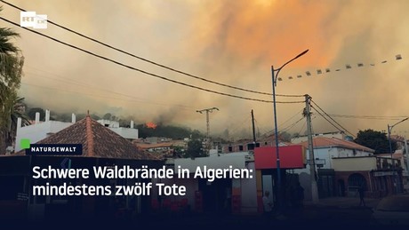 Schwere Waldbrände in Algerien: Mindestens zwölf Tote