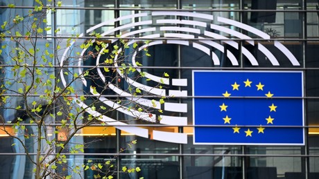SWR: Europa plant Kampagne gegen Wahlen in Russland