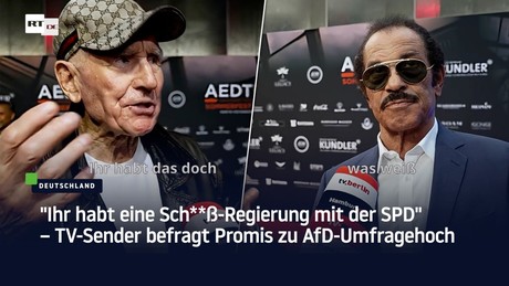 "Ihr habt eine Sch**ß-Regierung mit der SPD" – TV-Sender befragt Promis zu AfD-Umfragehoch