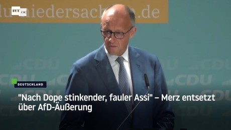 "Nach Dope stinkender, fauler Assi" – Merz entsetzt über AfD-Äußerung