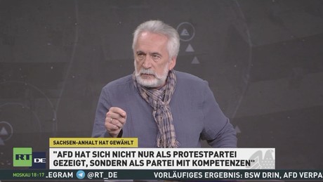 Experte sieht Wandel: AfD nicht mehr nur Protestpartei