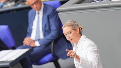 AfD-Chefin Weidel sieht Schwarz-Rot am Ende