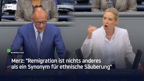 Merz wirft AfD Wahlbetrug vor