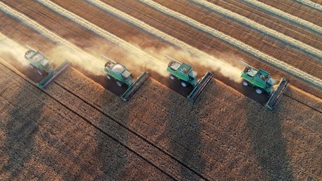 Ertrag an Frühgetreide im Süden Russlands höher als im Jahr 2025