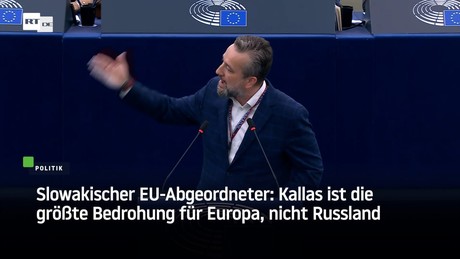 Slowakischer EU-Abgeordneter: Kallas ist die größte Bedrohung für Europa, nicht Russland