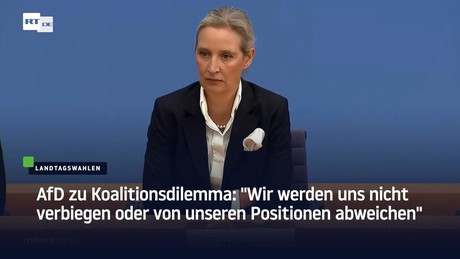 AfD zu Koalitionsdilemma: "Wir werden uns nicht verbiegen oder von unseren Positionen abweichen"
