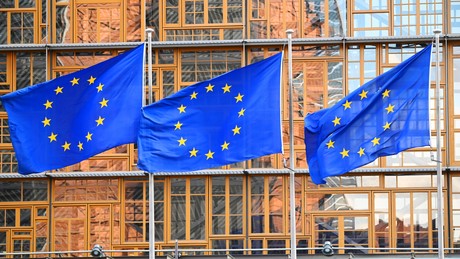 Russischer Geheimdienst: EU will mithilfe neuer Institution russische Vermögenswerte verstecken 